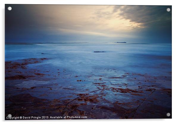 Northumberland Coast Acrylic by David Pringle