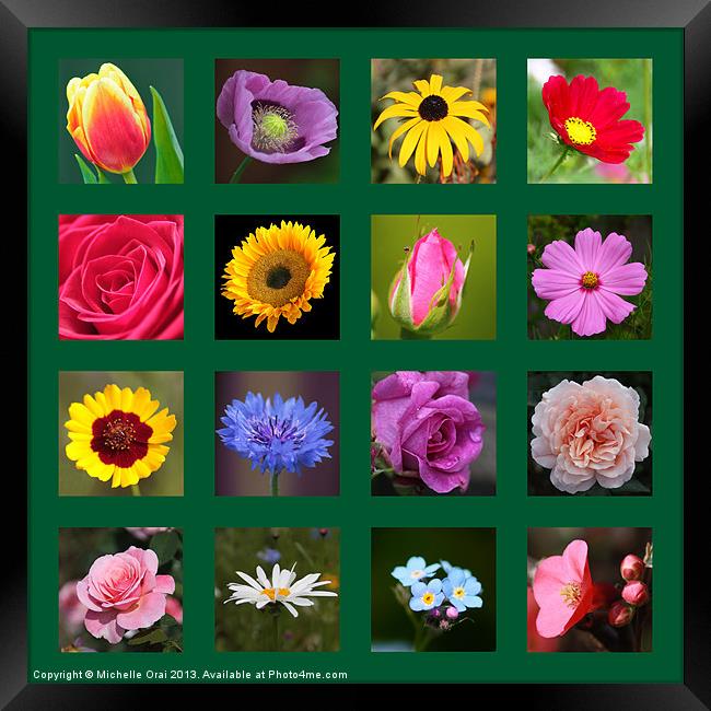 Floral Squares Framed Print by Michelle Orai
