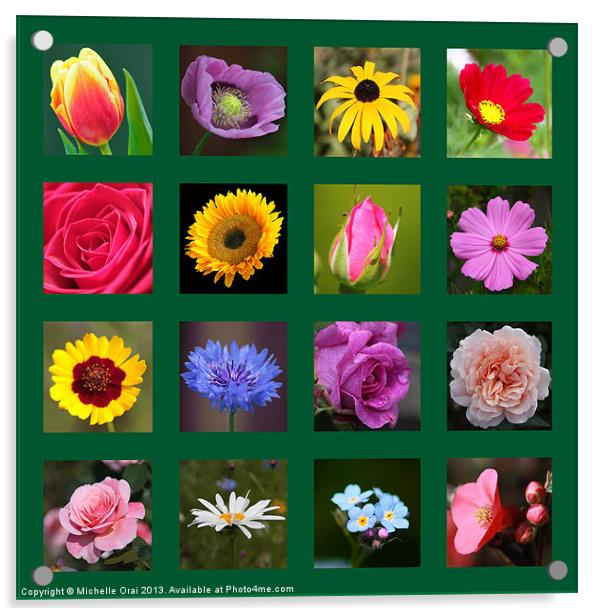 Floral Squares Acrylic by Michelle Orai