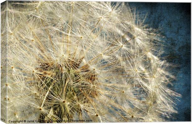 Natures Own Canvas Print by Julie Coe