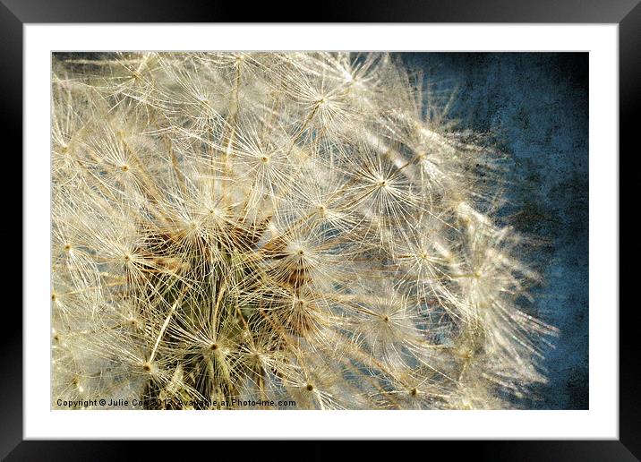 Natures Own Framed Mounted Print by Julie Coe
