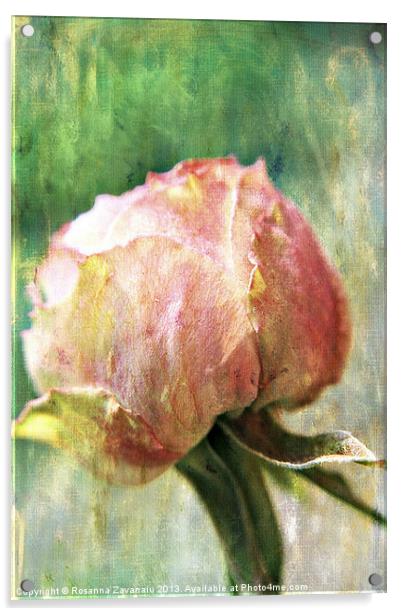 Rose Delicates Acrylic by Rosanna Zavanaiu
