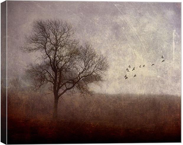 Dark Rising Canvas Print by Dawn Cox