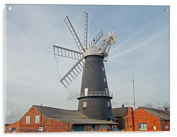eight sailed windmill Acrylic by Rachel & Martin Pics