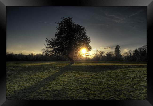 sunset through lone tree Framed Print by Dean Messenger