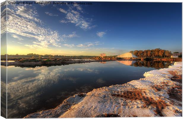 Snowfields Of Faro Canvas Print by Wight Landscapes