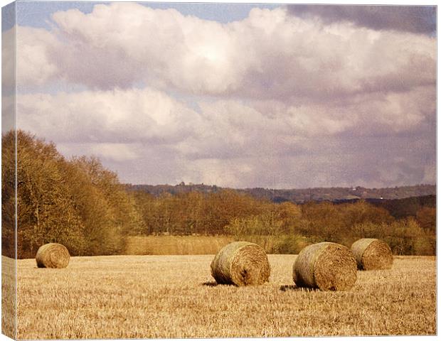 Hay bales in field Canvas Print by Dawn Cox