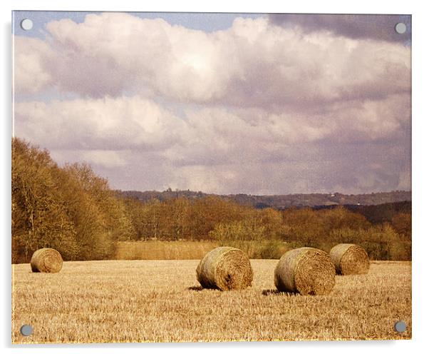 Hay bales in field Acrylic by Dawn Cox