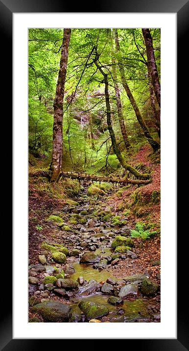 Small stream  in Reelig Framed Mounted Print by Macrae Images