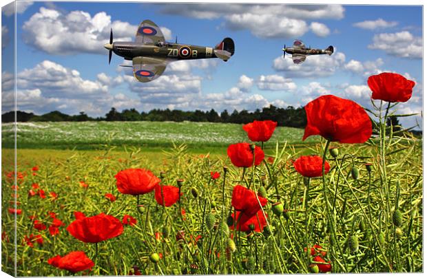 Spitfires and Poppy field Canvas Print by Oxon Images