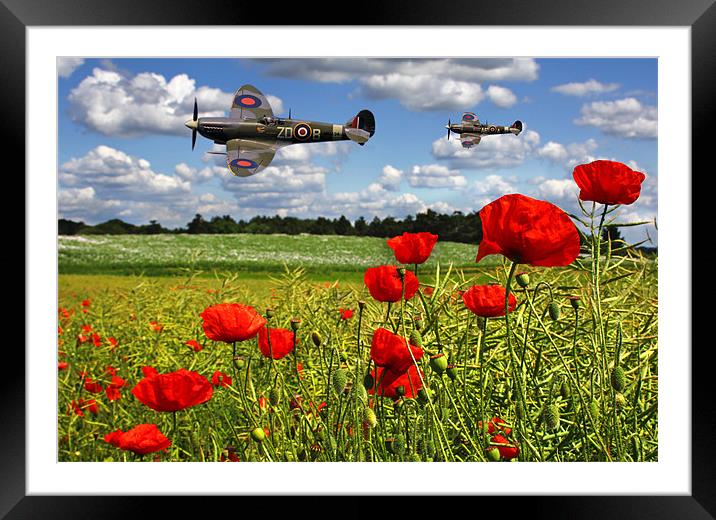 Spitfires and Poppy field Framed Mounted Print by Oxon Images