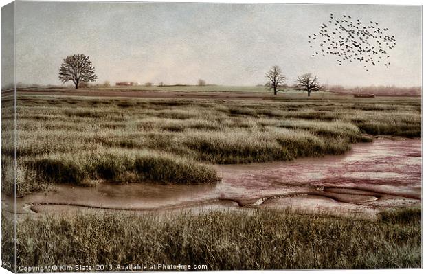The Marsh Canvas Print by Kim Slater