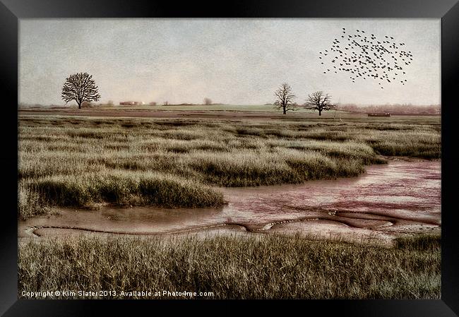 The Marsh Framed Print by Kim Slater