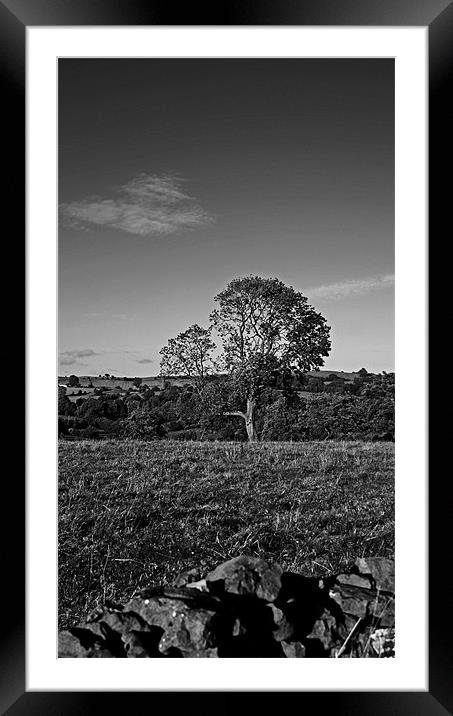 The Tree by Me :) Framed Mounted Print by Simon Underwood