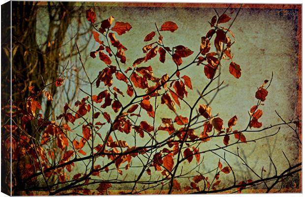 Lovely dry leaves.. Canvas Print by Nadeesha Jayamanne