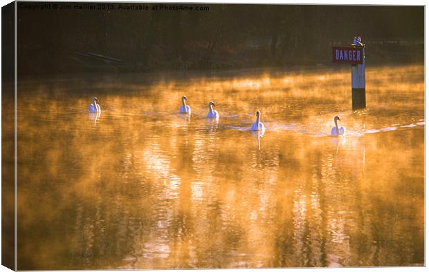 Swans at Mapledurham Canvas Print by Jim Hellier
