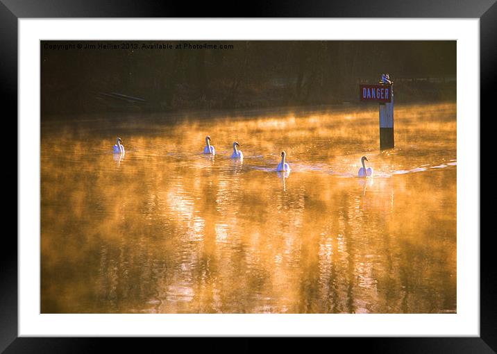 Swans at Mapledurham Framed Mounted Print by Jim Hellier