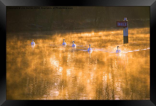 Swans at Mapledurham Framed Print by Jim Hellier