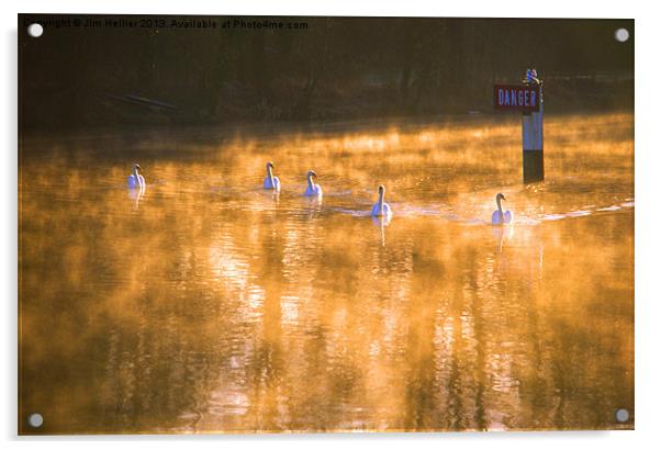 Swans at Mapledurham Acrylic by Jim Hellier