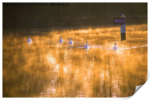 Swans at Mapledurham Print by Jim Hellier