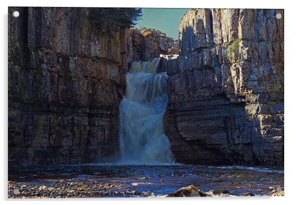 High Force Waterfall Acrylic by David Pringle