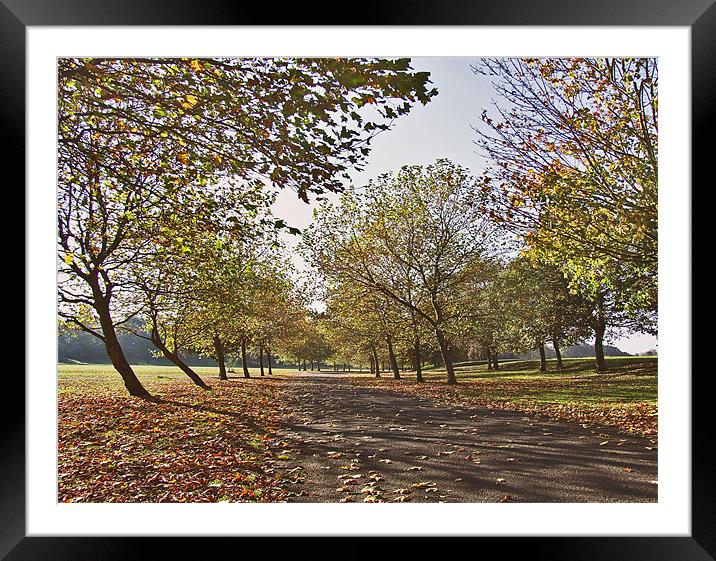 Autumn in the Park Framed Mounted Print by philip clarke