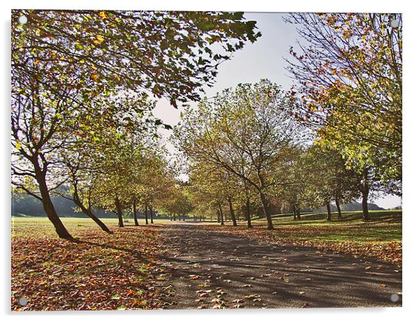 Autumn in the Park Acrylic by philip clarke