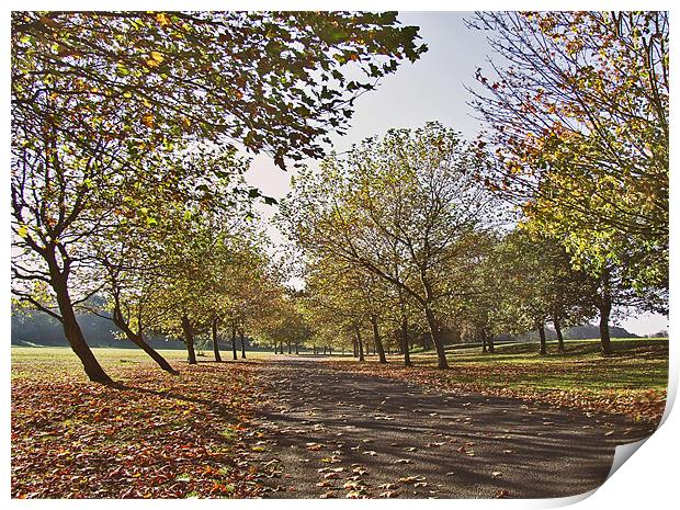 Autumn in the Park Print by philip clarke