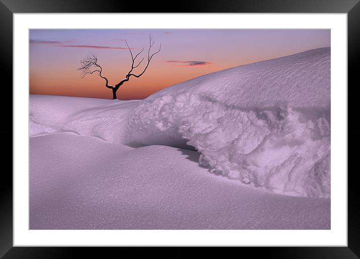 Lonely in the snow Framed Mounted Print by Robert Fielding