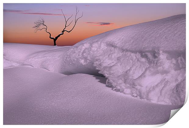 Lonely in the snow Print by Robert Fielding
