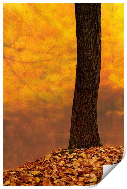 Autumn blur abstract Print by Robert Fielding