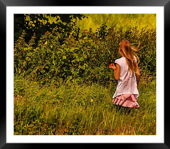 Out for a walk Framed Mounted Print by Matthew Laming