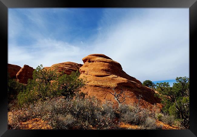 Smiling Framed Print by Claudio Del Luongo