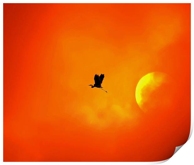 Passing by the sun Print by Matthew Laming