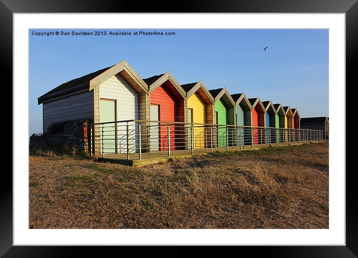 Blyth Beach Huts and Bird Framed Mounted Print by Dan Davidson