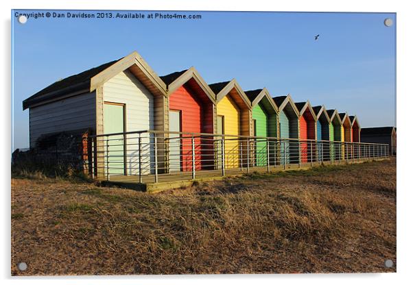 Blyth Beach Huts and Bird Acrylic by Dan Davidson