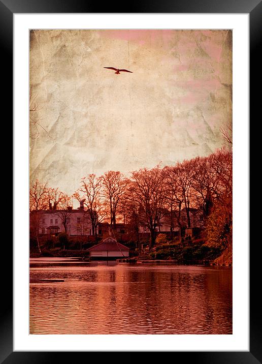 Bird in the sky.. Framed Mounted Print by Nadeesha Jayamanne
