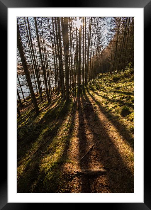 Shadows. Framed Mounted Print by Phil Tinkler