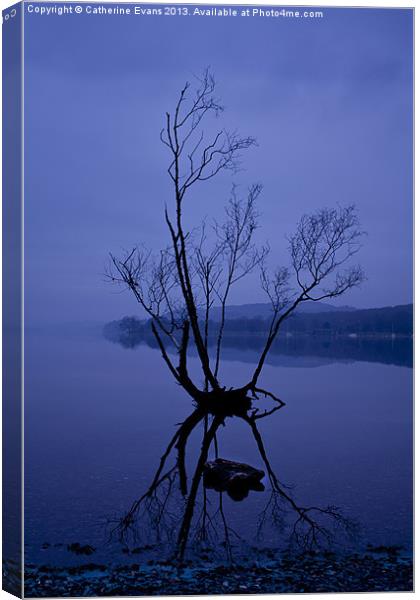 Lone tree on Coniston Canvas Print by Catherine Fowler