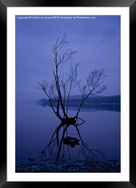 Lone tree on Coniston Framed Mounted Print by Catherine Fowler