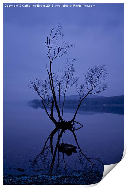Lone tree on Coniston Print by Catherine Fowler