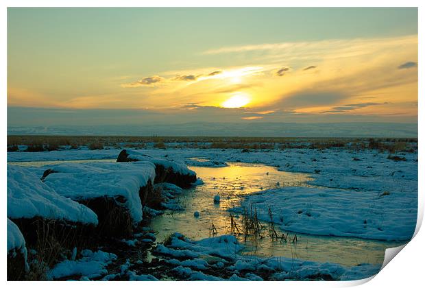 Sunset on the marshes Print by Jed Pearson