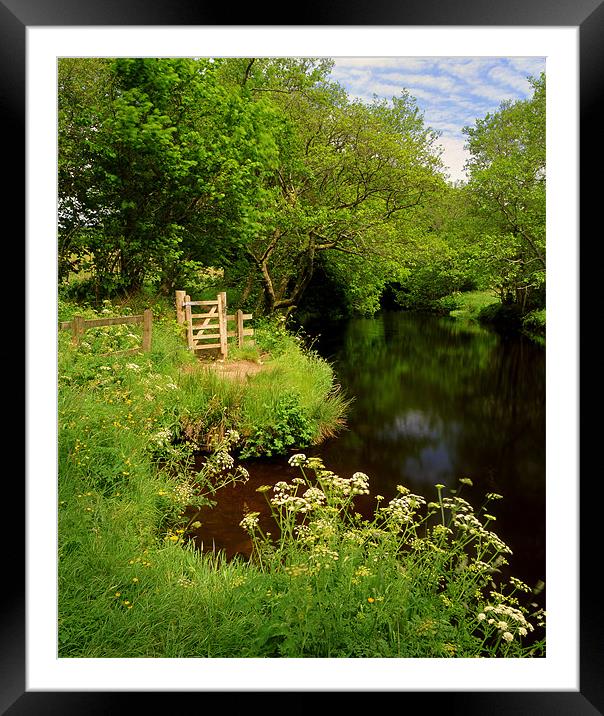 River Teign near Chagford Framed Mounted Print by Darren Galpin