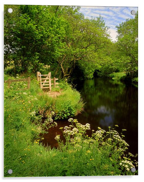River Teign near Chagford Acrylic by Darren Galpin