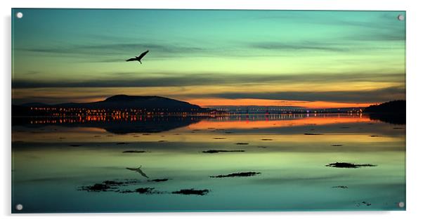 Beauly firth sunrise Acrylic by Macrae Images