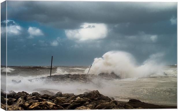 The storm! Canvas Print by Michael Goyberg