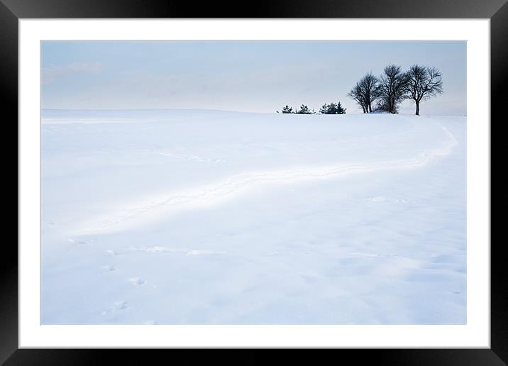 Winter Landscapes Framed Mounted Print by Ian Middleton