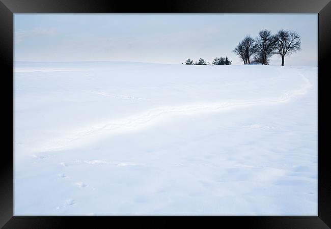 Winter Landscapes Framed Print by Ian Middleton