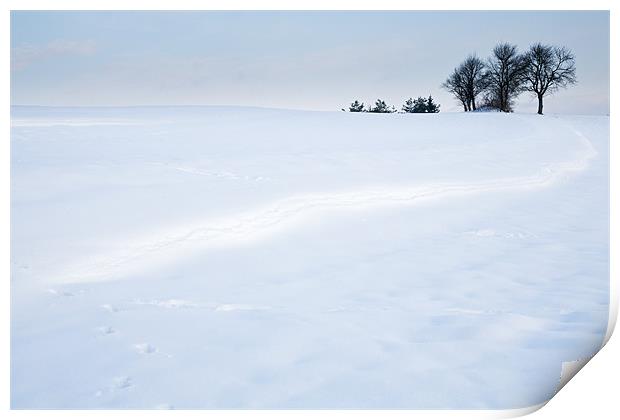 Winter Landscapes Print by Ian Middleton
