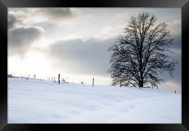 Winter Landscapes Framed Print by Ian Middleton